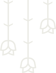 Frame-68603.png