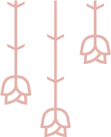 3 pink roz