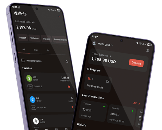 اپلیکیشن متاگلد