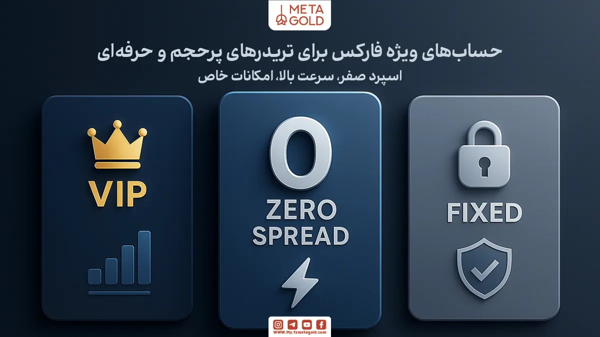 این حساب‌ها معمولاً با خدمات اختصاصی، پشتیبانی ویژه و گاهی تحلیل‌گر اختصاصی همراه هستند و نیازمند موجودی اولیه نسبتاً بالا هستند.