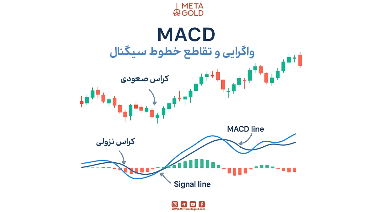 MACD (Moving Average Convergence Divergence) یکی از محبوب‌ترین اندیکاتورهای سیگنال‌دهی در تریدینگ‌ویو است.