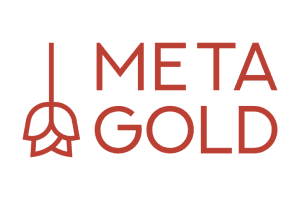 Picture of Metagold Content Production Team