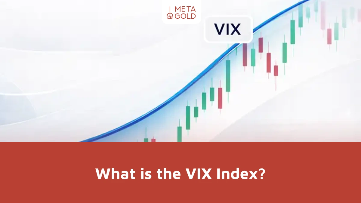 What is the VIX Index