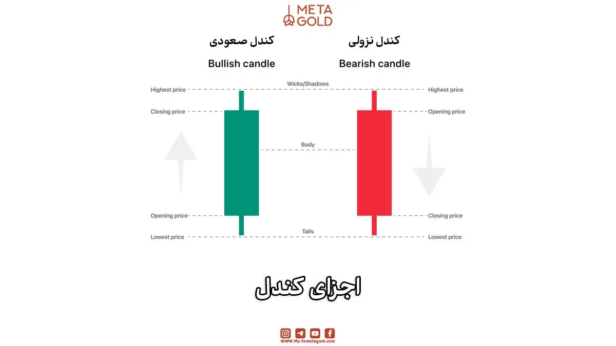 نمایش اجزای کندل صعودی و نزولی شامل بدنه، سایه‌ها، قیمت باز شدن و بسته شدن.