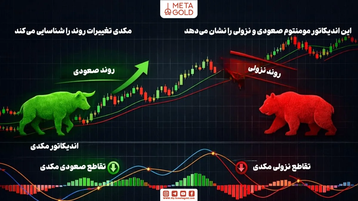 نمودار مالی با نمایش روند صعودی و نزولی همراه با اندیکاتور MACD