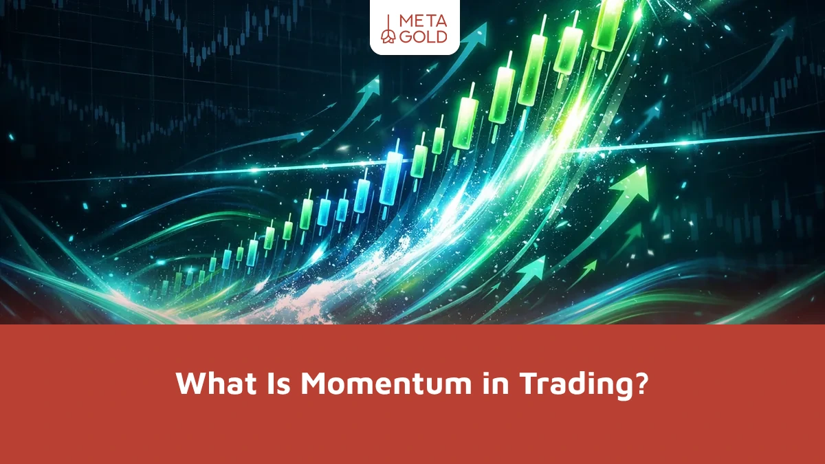 What Is Momentum