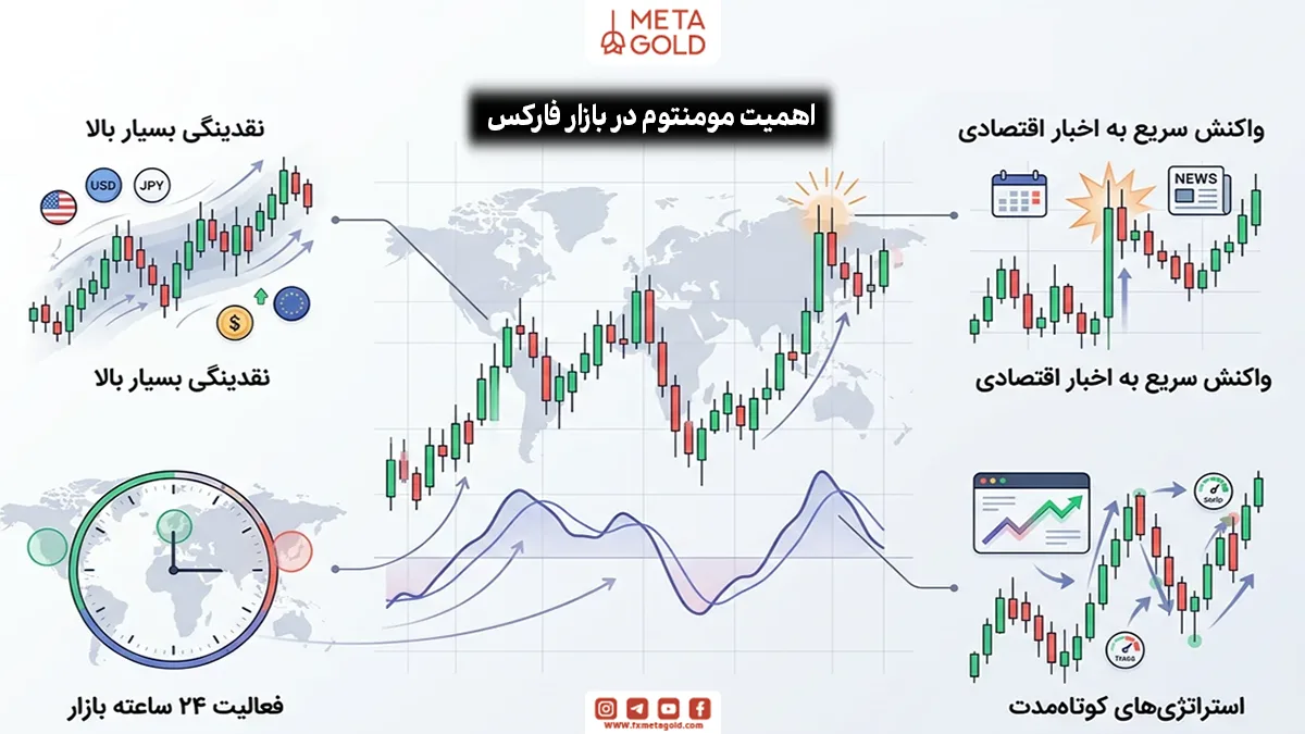 اهمیت مومنتوم در بازار فارکس
