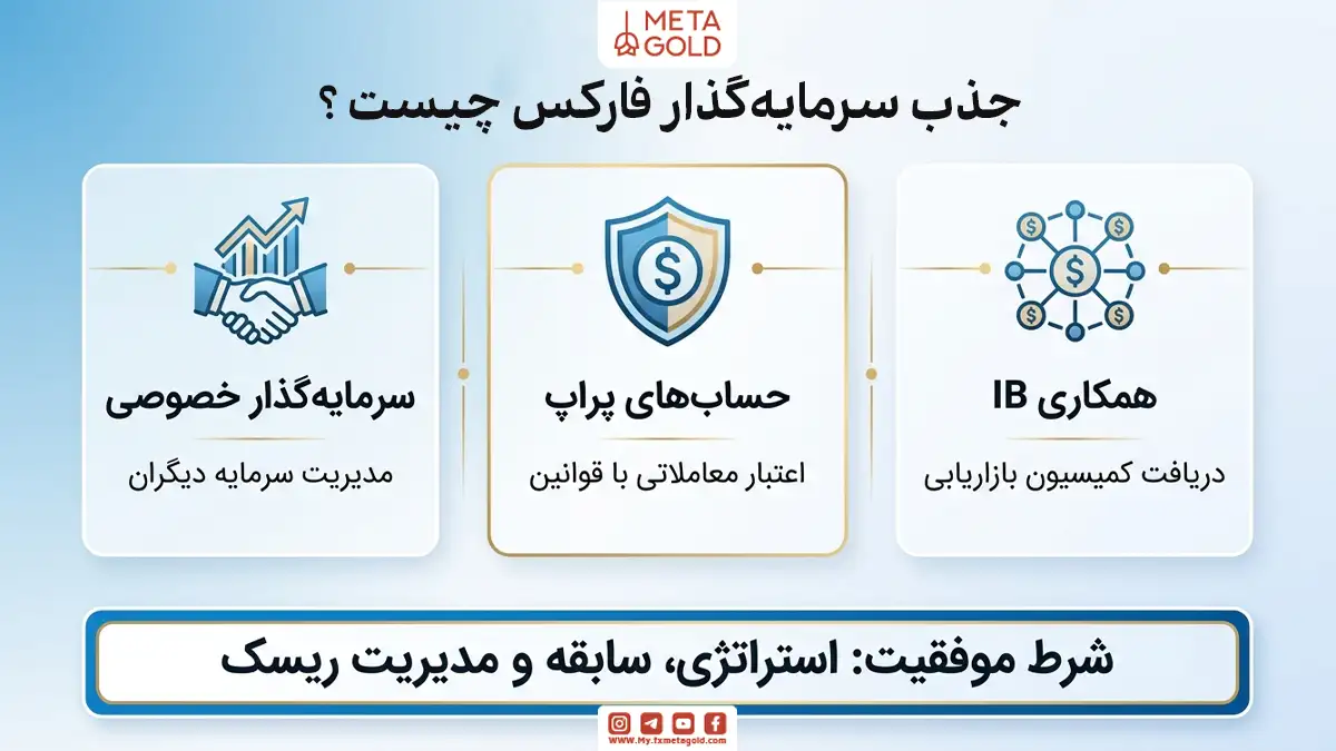«اینفوگرافیک روش‌های جذب سرمایه‌گذار فارکس در متاگلد؛ معرفی سه مدل اصلی شامل سرمایه‌گذاری خصوصی، حساب‌های پراپ و همکاری آی‌بی به همراه نکات کلیدی برای موفقیت و مدیریت ریسک.