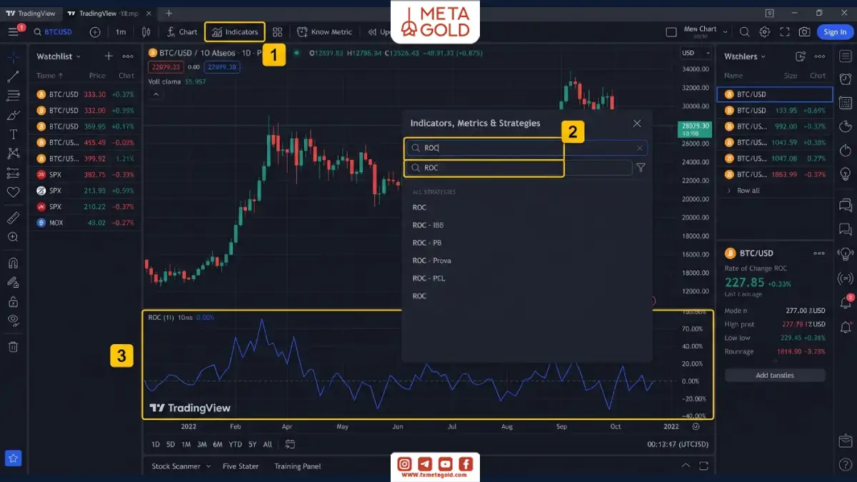 آموزش افزودن اندیکاتور ROC در تریدینگ ویو از بخش Indicators و نمایش نمودار Rate of Change زیر چارت قیمت.