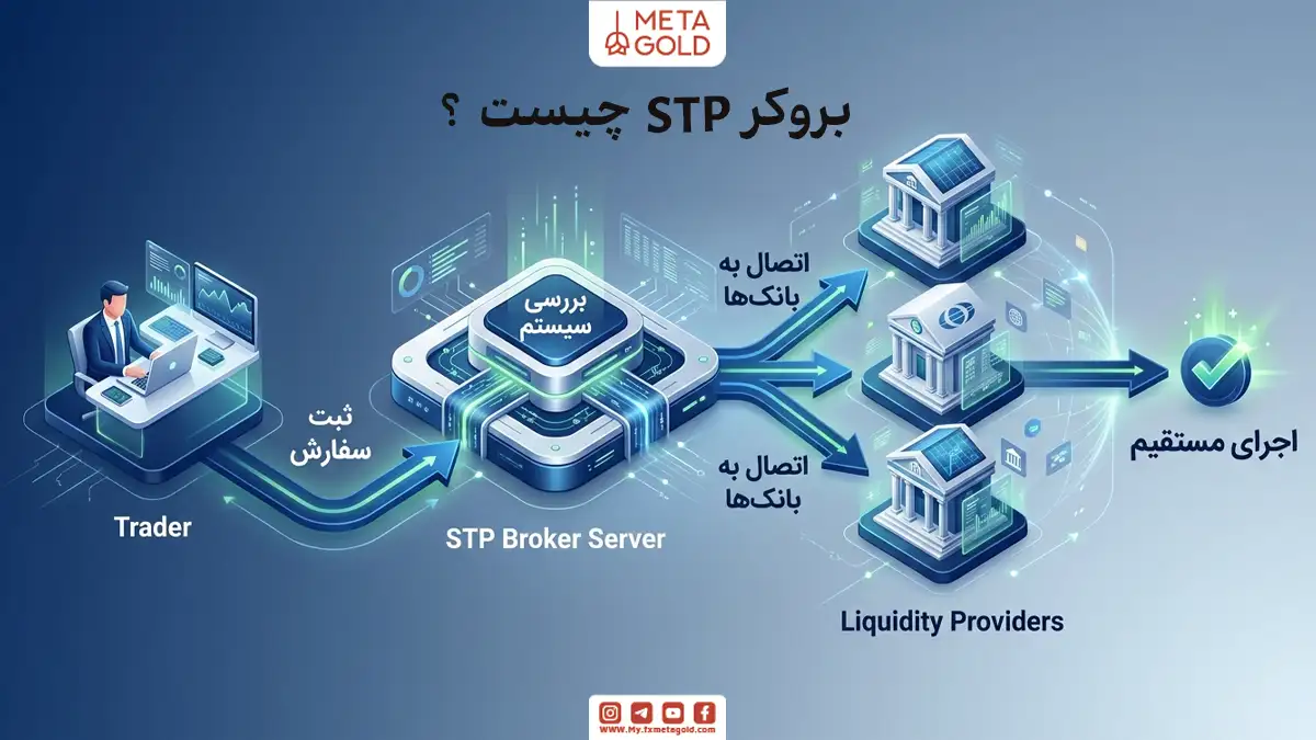 اینفوگرافیک مراحل کار بروکر STP متاگلد؛ نمایش چرخه کامل فرایند معامله از ثبت سفارش توسط معامله‌گر، پردازش در سرور مرکزی و اجرای مستقیم در شبکه تامین‌کنندگان نقدینگی