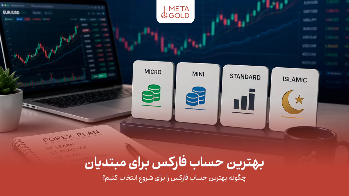 تصویر مقایسه انواع حساب فارکس شامل حساب میکرو، مینی، استاندارد و اسلامی برای معامله‌گران مبتدی